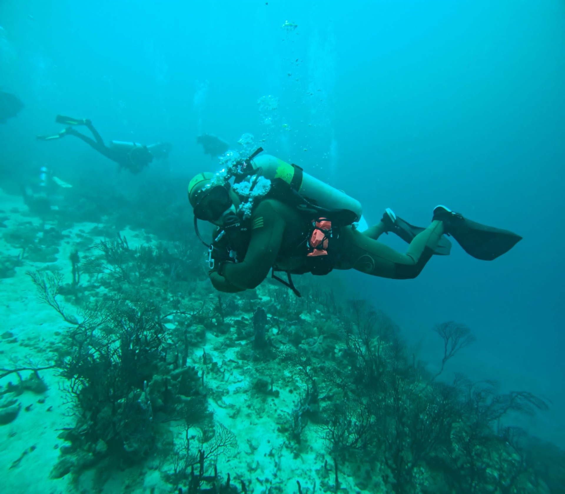 Josh diving