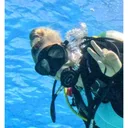 Farrah B. diving
